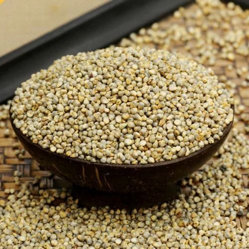 pearl-millet-sajje-sajjalu-kambu-healthy-food-bajra-kambam-desi-variety-naati-grains-1000x1000-500x500